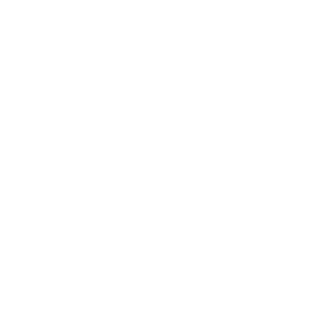 feature-item-1