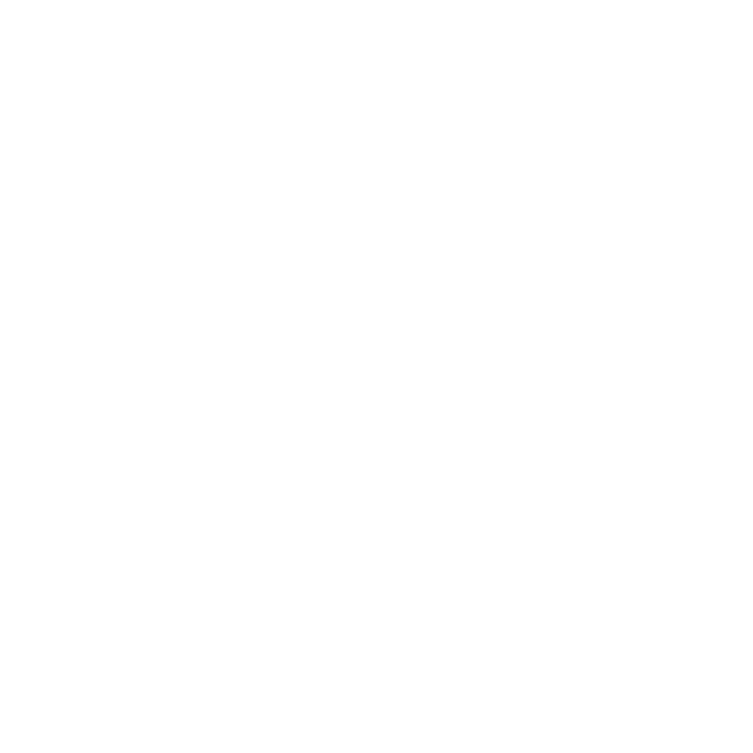 feature-item-2